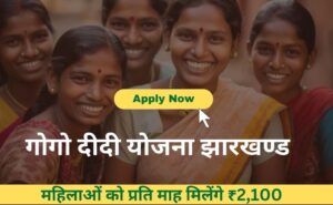 Gogo Didi Scheme Jharkhand