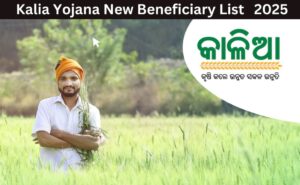 Kalia Yojana New beneficiary List 2025