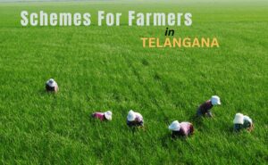 Schemes for farmers in Telangana