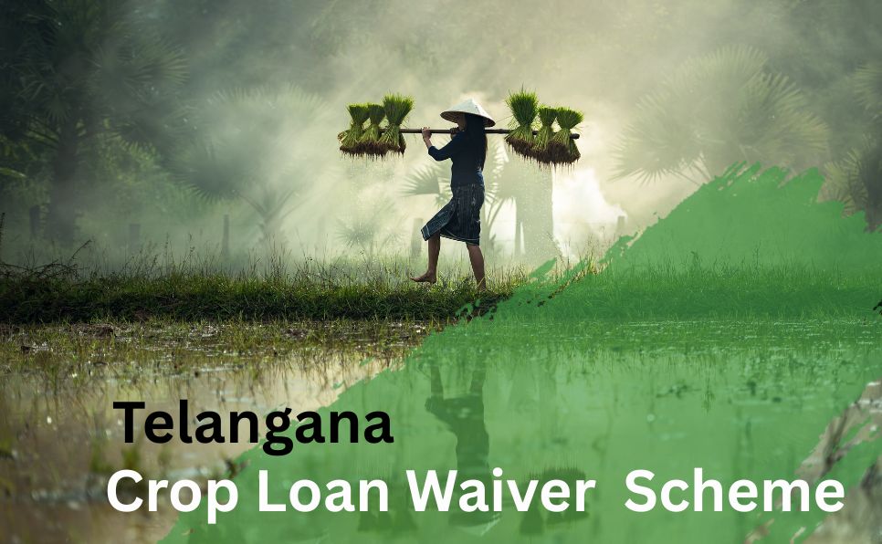 Telangana Crop Loan waiver scheme.