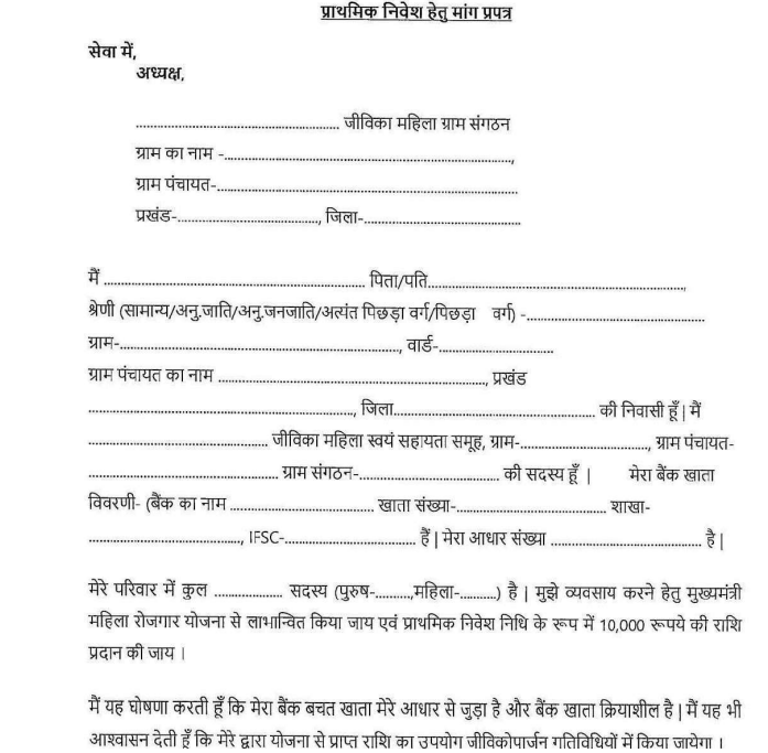Bihar Mukhyamantri Mahila Rojgar Yojana application form page-1